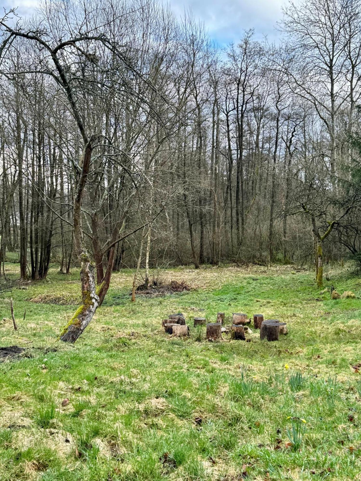 V Udoli Jablonne v Podjestedi Exterior foto